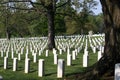 Arlington National Cemetery Royalty Free Stock Photo
