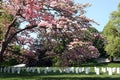 Arlington National Cemetery