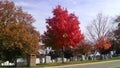 Arlington National cemetery. Fall colors headstones Royalty Free Stock Photo