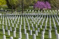 Arlington National Cemetery