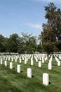 Arlington National Cemetery