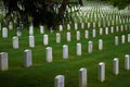 Arlington national cemetery near Washington DC Royalty Free Stock Photo