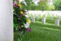 Arlington National Cemetery Tombstone