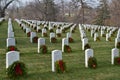 Arlington National Cemetery Royalty Free Stock Photo