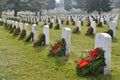 Arlington National Cemetery Royalty Free Stock Photo