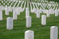 Arlington National Cemetery in Washington DC