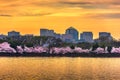 Arlington Skyline on the Tidal Basin Royalty Free Stock Photo