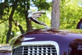 1936 Cadillac hood ornament at the Concours d`Elegance of Texas