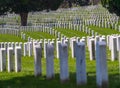 Arlington, USA: Headstones at the Arlington National Cemetery near Washington DC Royalty Free Stock Photo