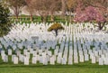 Arlington, USA: Headstones at the Arlington National Cemetery near Washington DC Royalty Free Stock Photo