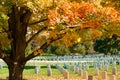 Arlington USA- October 26 2014; Leading lines of Arlington National Cemetery headstones