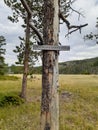 Arlington Wyoming Mountain logging road Royalty Free Stock Photo