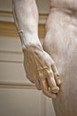 Arm detail of Statue of David by Michelangelo Royalty Free Stock Photo