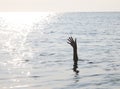 arm and hand of man on the ocean Royalty Free Stock Photo