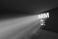 ARM rays volume light concept