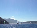 Armada of sailboats off the coast of Vancouver island, British C