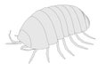 Armadillidium vulgare Royalty Free Stock Photo