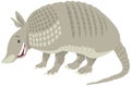 Funny armadillo animal cartoon illustration Royalty Free Stock Photo