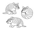 Armadillo cartoon outline in different poses vector illustration set