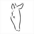 Armadillo cingulata animal sketch engraving vector illustration. T-shirt apparel print design. Scratch board imitation Royalty Free Stock Photo