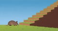 Armadillo climbs grassy steps leading up to a blue sky, symbolizing progress and nature Royalty Free Stock Photo