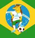 Armadillo. FIFA World Cup mascot