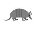 Armadillo isolated. Animal Nine-hip Armadillo vector illustration