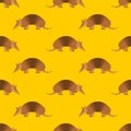 Armadillo pattern seamless. Animal armor-clad background. Baby fabric ornament Royalty Free Stock Photo