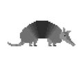 Armadillo pixel art. Animal armor-clad 8 bit