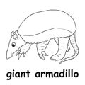 Kids line illustration coloring giant armadillo. outline vector for children. cute cartoon characters