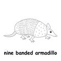 Kids line illustration coloring nine banded armadillo