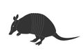 Armadillo silhouette isolated on white background. Vector