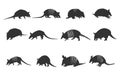 Armadillo silhouette, Texas armadillo silhouette, Tribal armadillo silhouette, Armadillo vector illustration Royalty Free Stock Photo