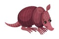 Armadillos with Armored Shell as African Animal Vector Illustration