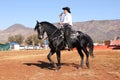 Armand the singing cowboy on his black stallion