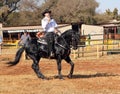 Armand the singing cowboy on his black stallion