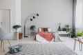 Armchair and carpet in apartment interior with plants and lamp next to bed with red sheets