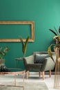 Armchair in green leaving room Royalty Free Stock Photo