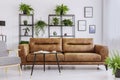 Armchair next to brown leather settee in white flat interior with plants, table and posters. Real photo Royalty Free Stock Photo