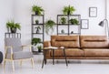 Armchair next to table and brown leather sofa in white flat interior with plants and posters. Real photo Royalty Free Stock Photo