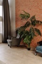 Armchair, Vintage Couch and Potted Houseplant