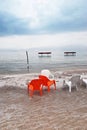 Armchairs in the beach