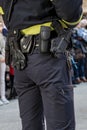 Armed policemen Royalty Free Stock Photo