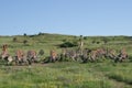 Armenia Alphabet Monument