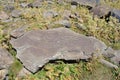 Armenia, mountain plateau at an altitude of 3200 meters, where the stones are petroglyphs of the 7th century BC Royalty Free Stock Photo