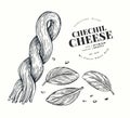 Armenian cheese illustration. Hand drawn vector dairy illustration. Engraved style cheese pigtail. Vintage chechil illustration