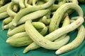 Armenian cucumber, Cucumis melo var. flexuosus