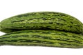 The Armenian cucumber, Cucumis melo var. flexuosus, a type of long, slender fruit which tastes like cucumber and looks somewhat