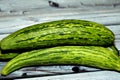 The Armenian cucumber, Cucumis melo var. flexuosus, a type of long, slender fruit which tastes like cucumber and looks somewhat