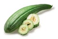 Armenian striped  cucumber Cucumis melo var. flexuosus pepo fruit isolated Royalty Free Stock Photo